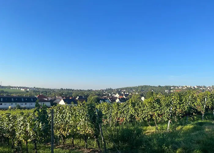 Ferienwohnung Im Geyserhof
