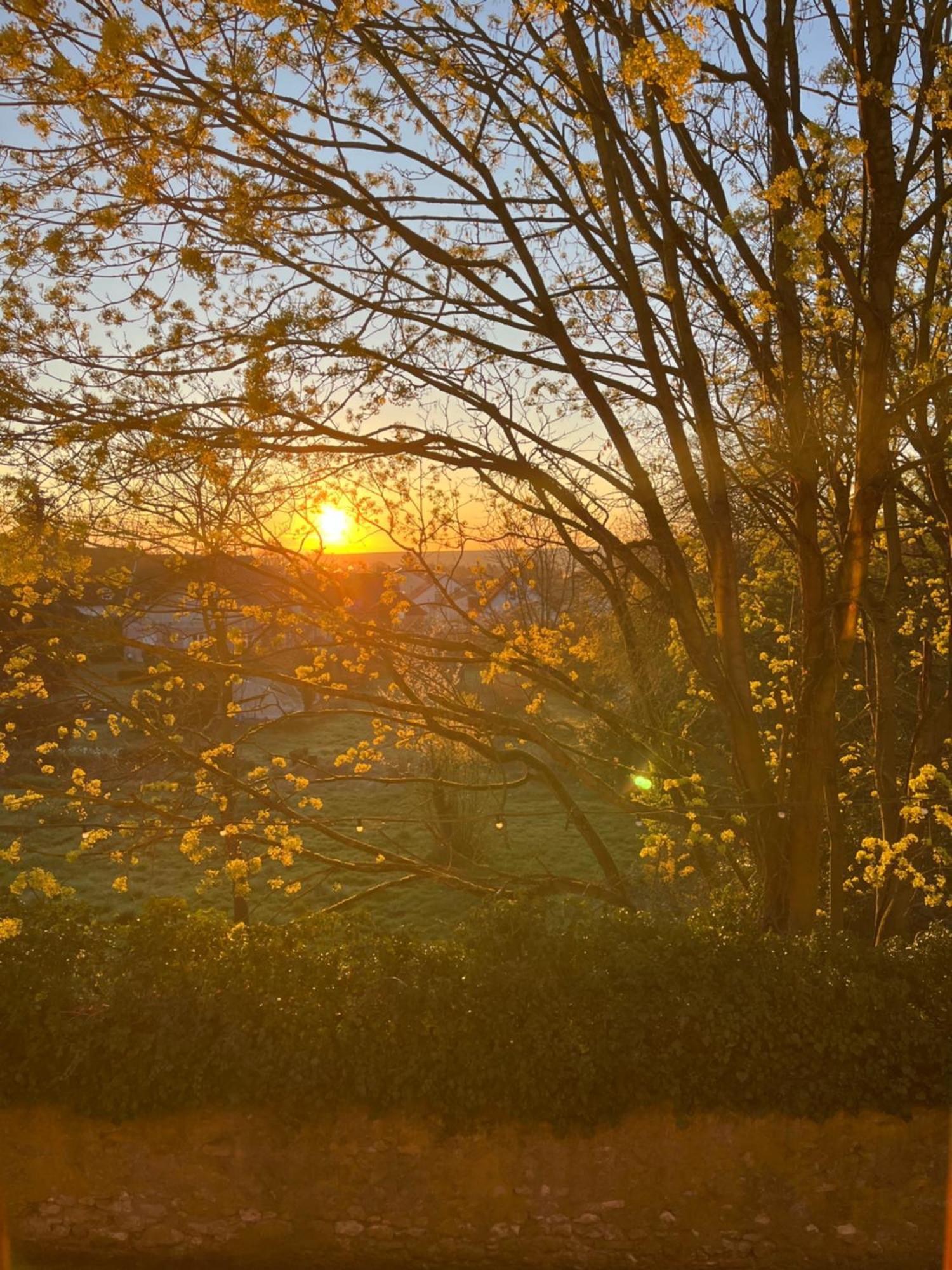 Im Geyserhof *